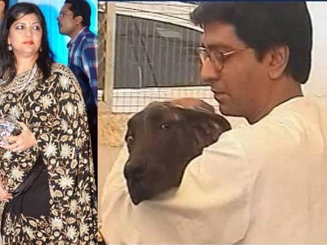 राज ठाकरे की पत्नी को कुत्ते ने काटा, चेहरे पर लगे 65 टांके Raj Thackeray’s wife gets 65 stitches after pet dog bites her