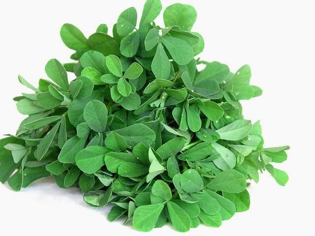 इस एक उपाय को अपनाने से नहीं झड़ेंगे बाल Home Remedies for Hair Loss