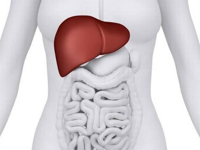 पुरुषों में नपुंसकता होने का ये कारण जानते हैं आप! Hepatitis can make males infertile