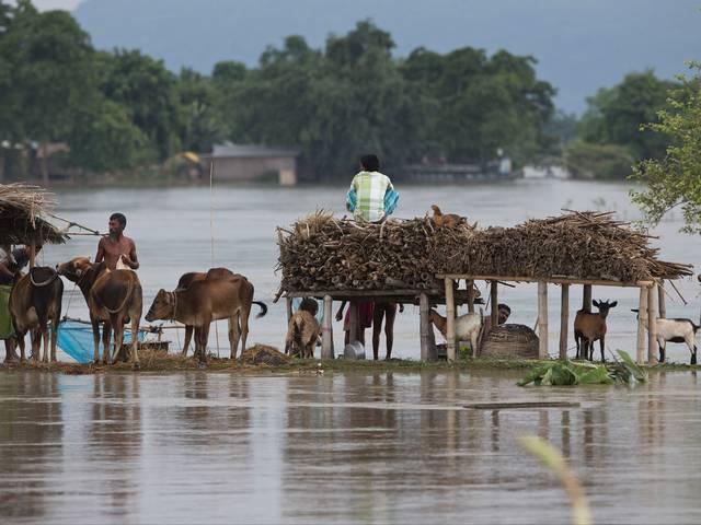 असम में बाढ़ से स्थिति चिंताजनक, मरने वालों की संख्या 31 हुई assam_flood_death_toll_rises