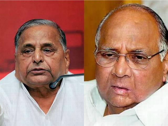 बिहार चुनाव: समाजवादी पार्टी और एनसीपी मिलकर लड़ेंगे चुनाव SP, NCP join hands for Bihar poll