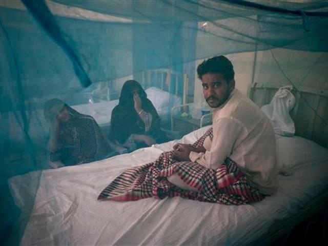 डेंगू का डंक : हाईकोर्ट ने सरकार से मांगा जवाब, अब तक 14 की मौत 3 more die of dengue; hospitals to take in more doctors