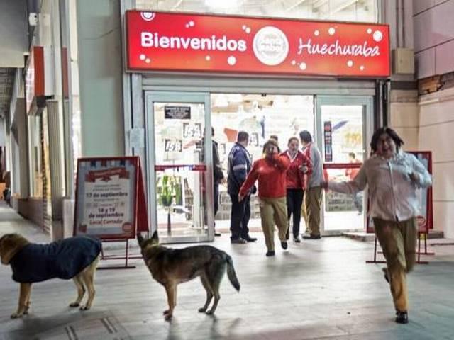 8.3 तीव्रता के भूकंप ने चिली को हिलाया Chile earthquake: Powerful quake strikes Santiago