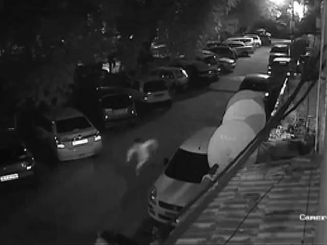 महिला से मोबाइल छीनकर भाग रहे लुटेरे को बच्चों ने पकड़ा CCTV captures children chase down mobile snatcher and drag him to police station