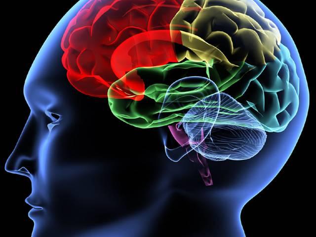 .. तो इस वजह से पॉजिटिव सोचते हैं लोग Successful, positive people have different brain connections