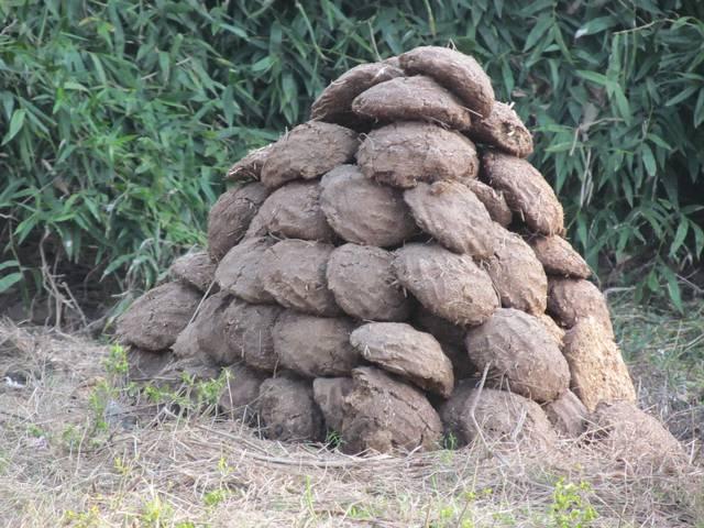 कंडे ले लो ऑनलाइन cow dung_online_marketing