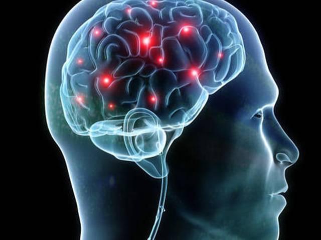 सिर्फ यही एक वजह मर्दों को बुद्धिमान नहीं बनाती Brain Size Does Not Appear to Influence IQ