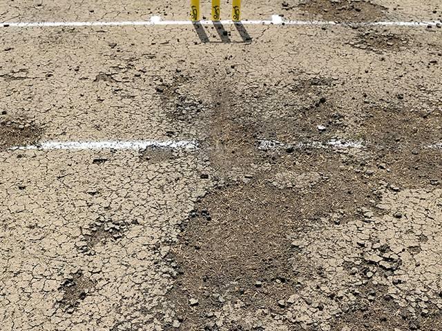 रिकॉर्ड रन के बाद पिच खराब, न्यूजीलैंड का प्रैक्टिस मैच हुआ रद्द after record partnership New Zealand tour game abandoned over pitch concerns