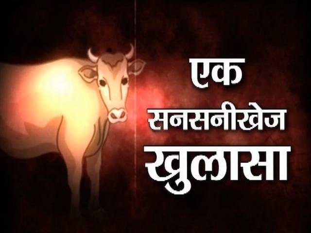 दिल्ली में गोमांस का गोरखधंधा, 5 स्टार होटलों का पर्दाफाश Beef service in Five star Hotels