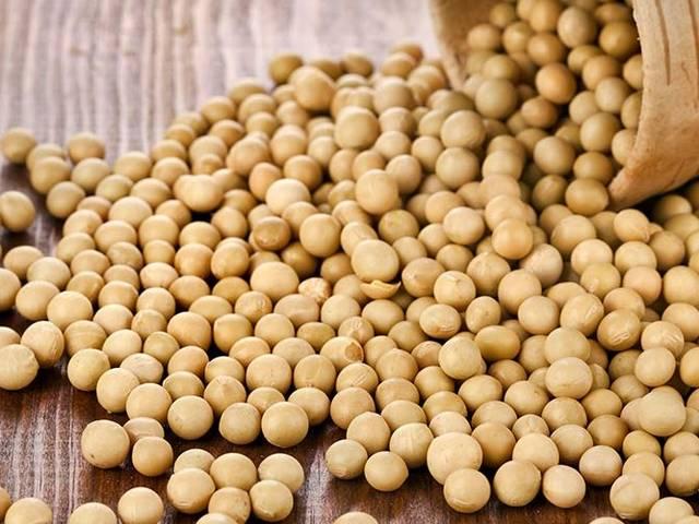 सोयाबीन खाने का ये बड़ा फायदा जान चौंक जाएंगे आप! Soy diet may prevent osteoporosis in menopausal women