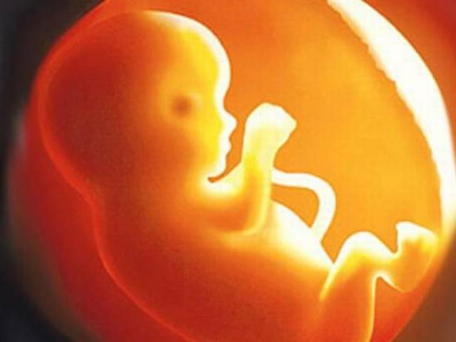 स्कूल में मिला कन्या भ्रूण, सकते में पुलिस Female foeticide found in delhi school