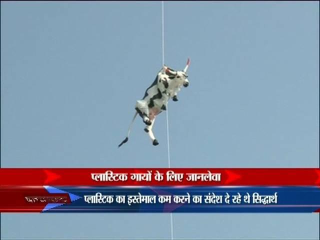 गाय का गुब्बारा लगाकर जागरूकता अभियान चलाने वाले कलाकार को हिरासत में लेकर छोड़ा jaipur cow campaign