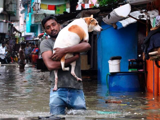 चेन्नई : ...तो मेट्रो के रास्ते घुसा था बाढ़ का पानी Chennai Floods: Authorities shocked as water travelled to different part of cities through metro tunnels