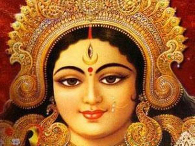 देवी मां की परिक्रमा के लिए रोज आता है भालू देवी मां की परिक्रमा के लिए रोज आता है भालू