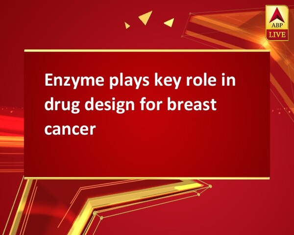 Enzyme plays key role in drug design for breast cancer