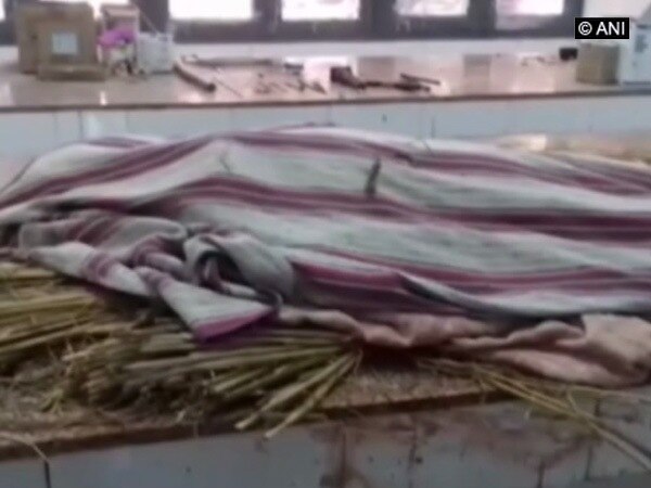 Minor's body with mutilated genitals found in Haryana