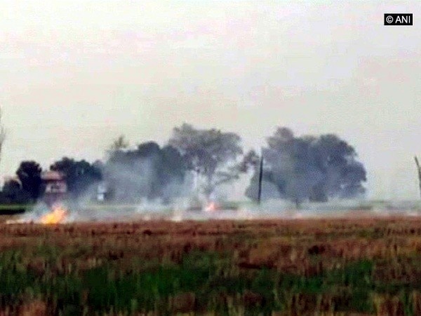 BKU opens front against govt. over prohibition on stubble burning