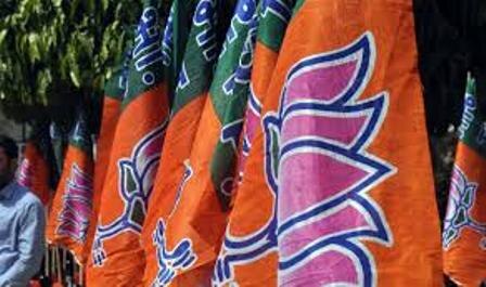 BJP supporters protest outside Delhi assembly