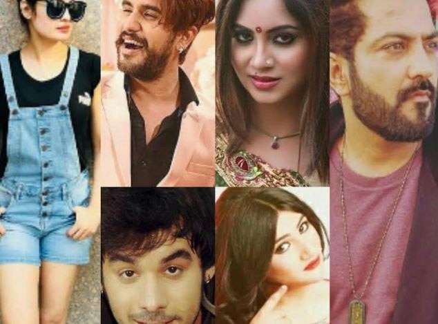 Arshi khan and other TV celebs reveal their unique ideas to PROPOSE ! Bigg Boss 11 contestant Arshi Khan reveals how she would like to be proposed