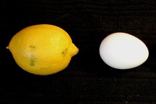 lemon_egg_jouste 