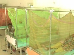 3 Dengue Death- 08