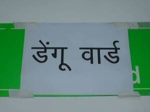 Dengue Deaths- 07