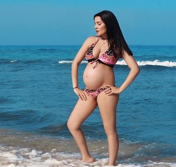 Actress Celina Jaitley flaunts baby bump in bikini photoshoot