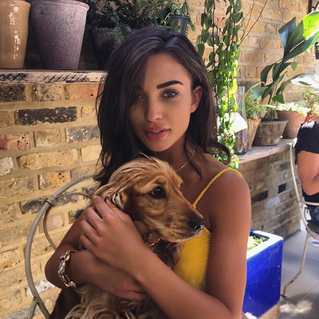 see the latest pics of Amy Jackson