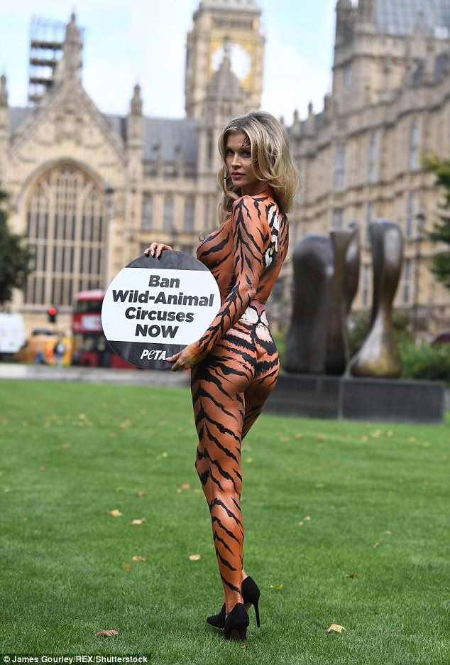 Housewives Of Miami star Joanna Krupa strips to tiger body paint to protest circuses in London