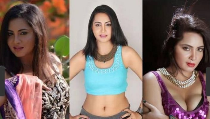 बिग बॉस 11: कंटेस्टेंट अर्शी ने शाहीद आफरीदी पर लगाया था सेक्स करने का सनसनीखेज आरोप! Bigg Boss 11: contestant Aarshi Khan had alleged that cricketer Shahid Afridi had sex with her