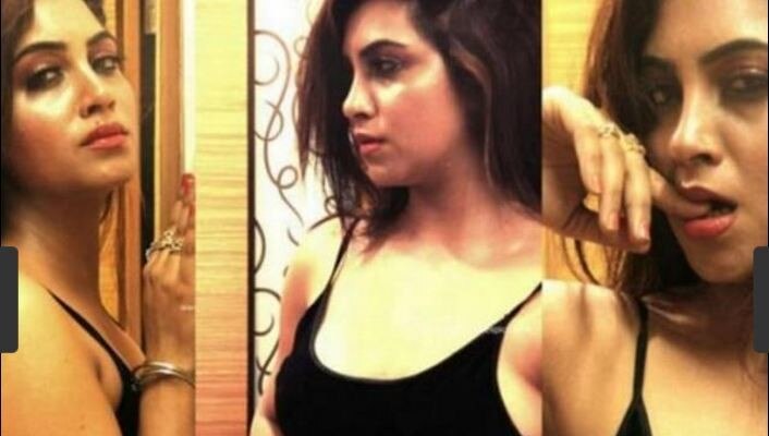 बिग बॉस 11: कंटेस्टेंट अर्शी ने शाहीद आफरीदी पर लगाया था सेक्स करने का सनसनीखेज आरोप! Bigg Boss 11: contestant Aarshi Khan had alleged that cricketer Shahid Afridi had sex with her