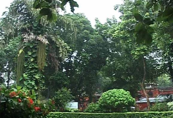 আকাশ কালো করে আজও বৃষ্টি, শহরে যানজটে দুর্ভোগ