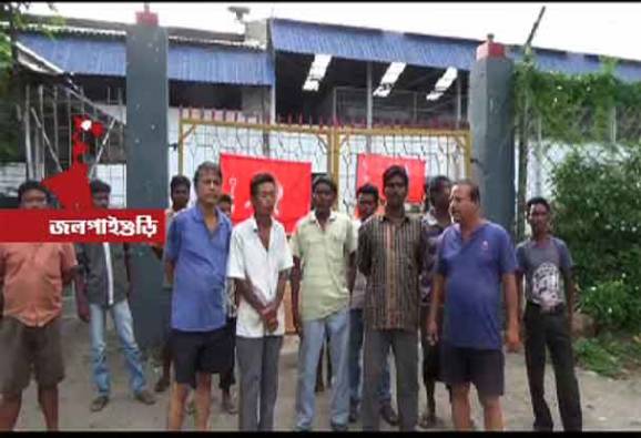 যৌথ মঞ্চের ডাকে ধর্মঘট, বন্ধ দার্জিলিঙ, জলপাইগুড়ির চা বাগান