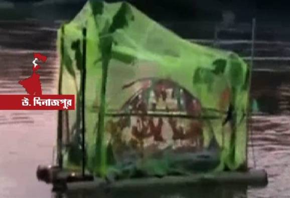 একবিংশ শতাব্দীতে বেহুলা-লখিন্দর! 'বাঁচাতে' সাপের কামড়ে মৃত বালিকাকে নদীতে ভাসাল পরিবার