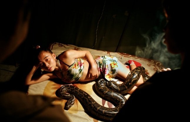xx sexy of college girls with vegetables sluts fucking weird stuff