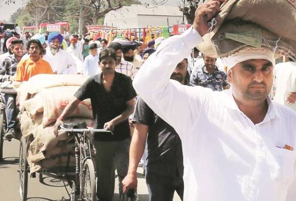ਇਹ ਨੇ ਛੇਤੀ ਪੱਕਣ ਵਾਲੀਆਂ ਝੋਨੇ ਦੀਆਂ ਕਿਸਮਾਂ