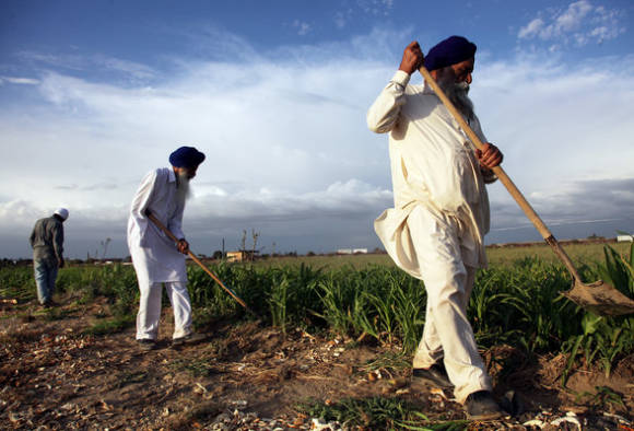 ਕਿਸਾਨਾਂ ਲਈ ਵੱਡੀ ਖੁਸ਼ਖਬਰੀ! ਸਰਕਾਰ ਦਾ ਅਹਿਮ ਫੈਸਲਾ