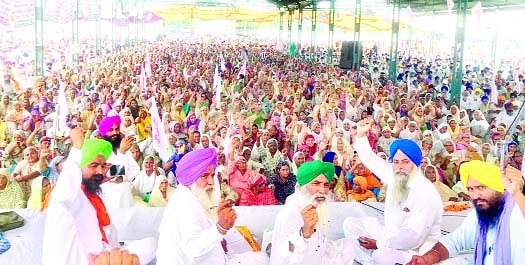 ਕਿਸਾਨ -ਮਜ਼ਦੂਰ ਦੀ ਕਰਜ਼ੇ ਕਾਰਨ ਕੁਰਕੀ ਨਹੀਂ ਹੋਣ ਦਿਤੀ ਜਾਵੇਗੀ...