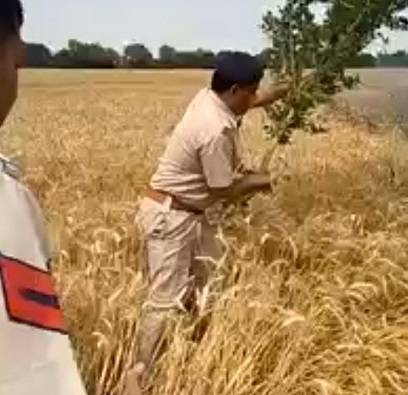 ਕਣਕ ਸੜਨੋਂ ਬਚਾਉਣ ਵਾਲੇ ਪੁਲਿਸ ਮੁਲਾਜ਼ਮਾਂ ਨੂੰ ਨਕਦ ਇਨਾਮ
