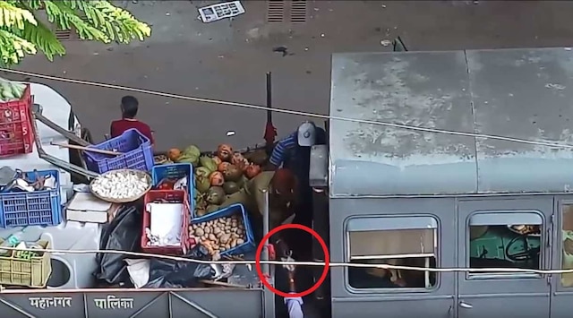 Viral Video: BMC staff allegedly steals seized goods