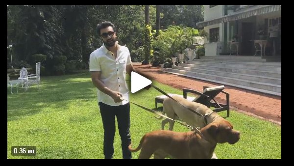 Ranbir Kapoor with his dogs in the garden gives a Diwali message! WATCH