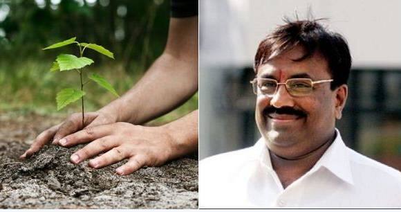 वृक्षारोपणाला भरघोस प्रतिसाद, राज्यभरात 2 कोटीहून अधिक झाडं लावली !