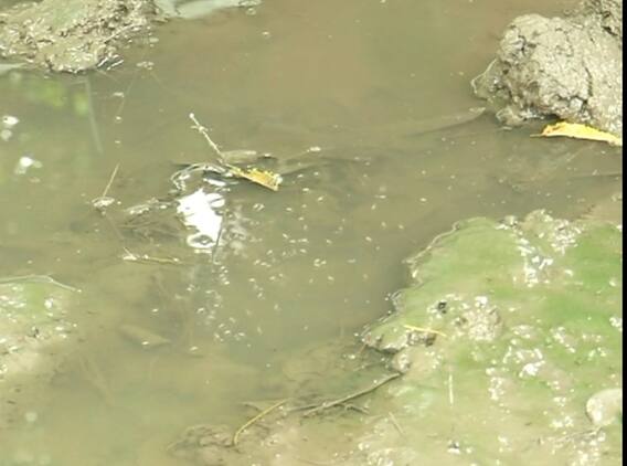 ਬਠਿੰਡਾ 'ਚ ਡੇਂਗੂ ਤੇ ਮਲੇਰੀਆ ਦਾ ਕਹਿਰ, ਹਸਪਤਾਲਾਂ 'ਚ ਨਹੀਂ ਕੋਈ ਪ੍ਰਬੰਧ