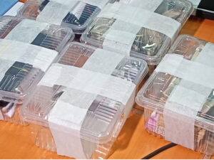 ऑनलाइन सट्टा गिरोह का भंडाफोड़, पुलिस की गिरफ्त में 9 आरोपी