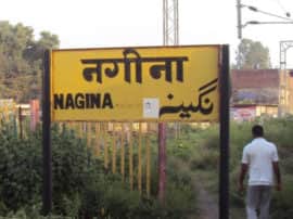 Lok sabha Elections 2019 Nagina Constituency History and Politics Lok sabha Elections 2019 Nagina Constituency History and Politics