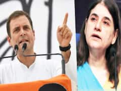 सुल्तानपुर में अपनी चाची मेनका के खिलाफ चुनाव प्रचार करते दिखेंगे राहुल गांधी