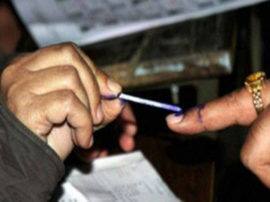 चुनावी ड्यूटी में लगे सरकारी कर्मचारी आज से कर सकेंगे पोस्टल बैलेट से वोट Government employee caste their postal ballot from today चुनावी ड्यूटी में लगे सरकारी कर्मचारी आज से कर सकेंगे पोस्टल बैलेट से वोट