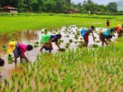 किसानों की आय बढ़ाने के लिए डॉ. स्वामीनाथन ने बताए ये उपाय