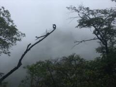 उत्तराखंड: मौसम विभाग की चेतावनी, 8 जिलों में भारी बारिश का अलर्ट जारी