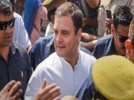 Rahul gandhi visit amethi tomorrow after loosing election चुनाव में हार के बाद राहुल का पहला अमेठी दौरा आज, कार्यकर्ताओं से करेंगे मुलाकात